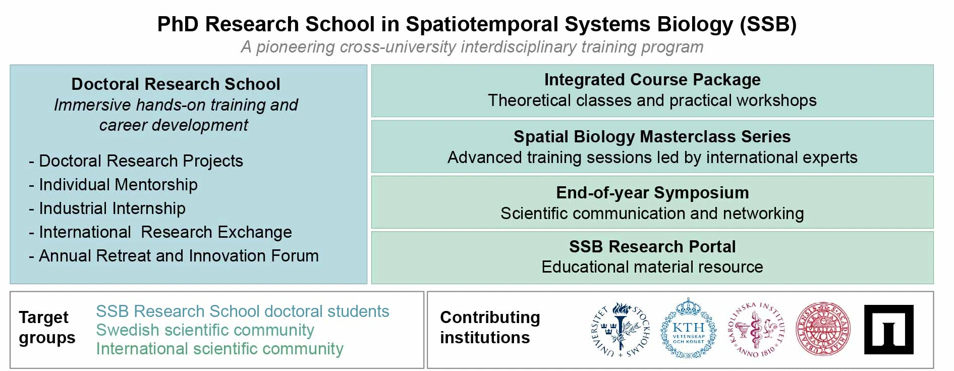 The PhD Research School in Spatiotemporal Systems Biology (SSB), a pioneering cross-university interdisciplinary training programme. The Doctoral Research School offers immersive hands-on training and career development: doctoral research projects, individual mentorship, an industrial internship, an international research exchange, and an annual retreat and innovation forum. Alongside it run the Integrated Course Package of theoretical classes and practical workshops, the Spatial Biology Masterclass Series of advanced sessions led by international experts, an end-of-year symposium for scientific communication and networking, and the SSB Research Portal of educational material. Target groups: SSB doctoral students, and the Swedish and international scientific communities. Contributing institutions: Stockholm University, KTH, Karolinska Institutet, Uppsala University and the Institute for Futures Studies.